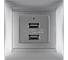 Розетка TDM ELECTRIC 2USB порт 2,1А 5В металлик "Лама" SQ1815-0241 1