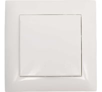 Розетка ARTSUN одинарная с крышкой (встраиваемая) STANDART SO 16-1EC-W(C )