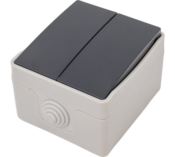Выключатель двухклавишный ARTSUN накладной PRO SW 10-2-W/B