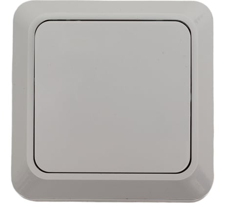 Выключатель одноклавишный ARTSUN накладной BASIC SW 10-1-W