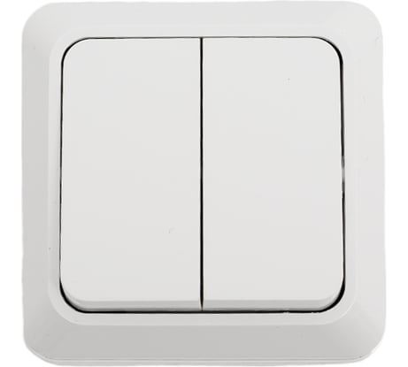 Выключатель двухклавишный ARTSUN накладной BASIC SW 10-2-W