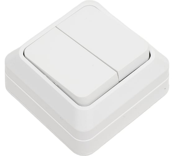 Выключатель двухклавишный ARTSUN накладной BASIC SW 10-2-W