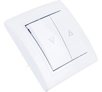 Выключатель кнопочный для жалюзи Aling-conel PRESTIGE 10А 250V белый (арт. ) 6075.00