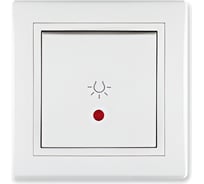 Выключатель кнопочный для освещения Aling-conel PRESTIGE с индикацией 10A 250V белый (арт. ) 609I.00