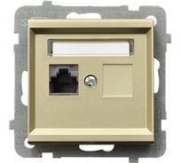 Компьютерная розетка Ospel Sonata 1-я, категория 5e, RJ-45, без рамки, шампанский золотой GPK-1R/K/m/39