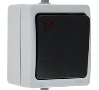 Выключатель 1 -клавишный с индикатором 10А IP54 серый EKF Венеция SQ EVV10-121-30-54