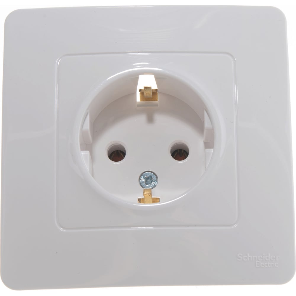 Blanです。 53635886.jpg