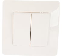 2-клавишный выключатель Systeme Electric BLANCA 10А, 250B, МОЛОЧНЫЙ BLNVS010502