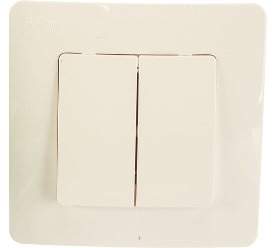 2-клавишный выключатель Systeme Electric BLANCA 10А, 250B, МОЛОЧНЫЙ BLNVS010502