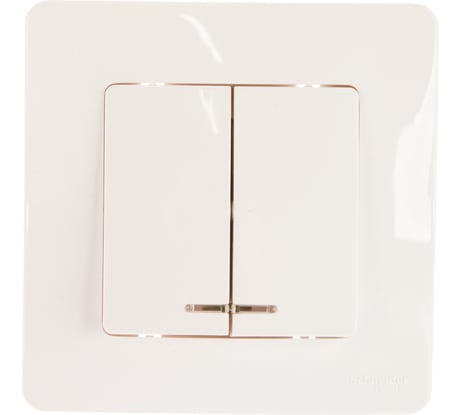 2-клавишный выключатель Systeme Electric BLANCA с подсветкой 10А, 250B, МОЛОЧНЫЙ BLNVS010512
