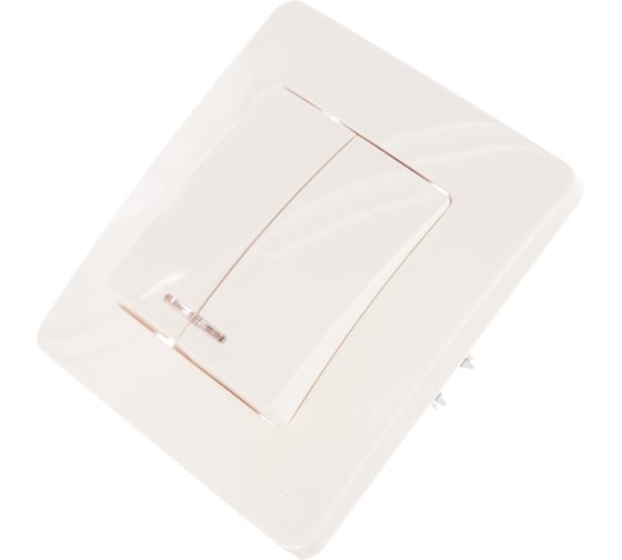 2-клавишный выключатель Systeme Electric BLANCA с подсветкой 10А, 250B, МОЛОЧНЫЙ BLNVS010512