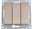 3-клавишный выключатель Systeme Electric GLOSSA 10АХ, ТИТАН GSL000431 1