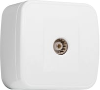 1-местная розетка EKF Минск, TV , ОП 75Ом, 5-862 МГц, белая, Basic, SQ EGA00-027-10