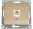 Компьютерная розетка Systeme Electric GLOSSA RJ45 категория 5E, ТИТАН GSL000481K 1