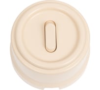 Кнопка Bironi (одноклавишная), пластик, цвет Песочное золото B1-220-24-PB