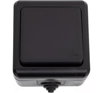 1-клавишный выключатель TOKOV ELECTRIC ОП Dita IP54, 10А, 250В, карбон TKL-DT-V1-C14-IP54