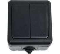 2-клавишный выключатель TOKOV ELECTRIC ОП Dita IP54, 10А, 250В, карбон TKL-DT-V2-C14-IP54