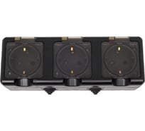 3-местная розетка TOKOV ELECTRIC  ОП Dita 16А, IP54, 250В, с заземлением, с прозрачной крышкой, карбон TKL-DT-R3Z-C14T-IP54