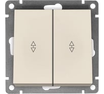 Проходной двухклавишный выключатель UNIVersal серия "Афина ", скрытой установки, 10А, 220В, слоновая кость (ivory), еврослот A0026-I