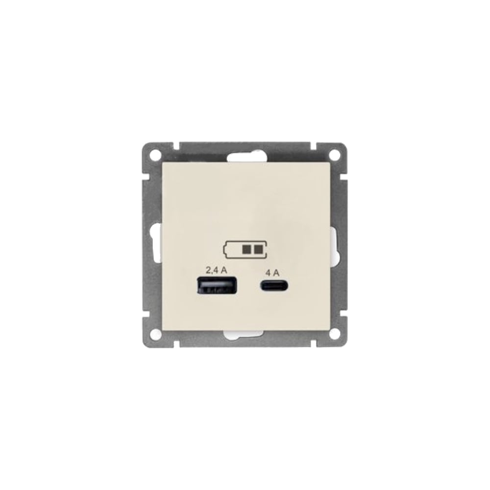 РозеткаUSBUNIVersalType-A(2,4А)+Type-C(4А)серия"Афина"с/у,слоноваякость(ivory)(еврослот)А0059-I