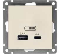 Розетка USB UNIVersal Type-A (2,4А) + Type-C (4А) серия "Афина" с/у, слоновая кость (ivory) (еврослот) А0059-I