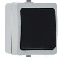 1-клавишный выключатель EKF Венеция 10А, IP54, серый SQEVV10-021-30-54