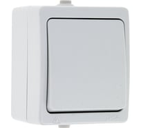 Кнопочный выключатель EKF Венеция 10А, IP54, белый SQEVV10-045-10-54