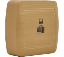 Компьютерная розетка Lezard DEMET ясень 711-4700-139