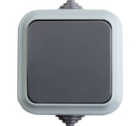 Выключатель REXANT одноклавишный влагозащищенный открытой установки IP54 6 А 78-0520