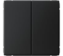 Выключатель Systeme Electric ArtGallery Карбон 2-клавишный, сх.5, 10АХ, механизм GAL001051