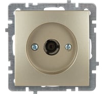 Механизм розетки NILSON 1СП тв конечный золото Touran/Alegra metallic 24150433