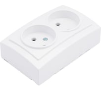 Розетка NILSON 2ОП белая Themis naturel 26111024