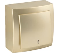 Выключатель NILSON 1ОП проходной золото Themis metallic 26151007