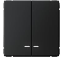 Выключатель с подсветкой 2-клавишный ArtGallery Systeme Electric 10 АХ, механизм, Карбон GAL001053