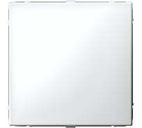 Заглушка для многопостовых рамок Systeme Electric ArtGallery, без суппорта, Белый GAL000109