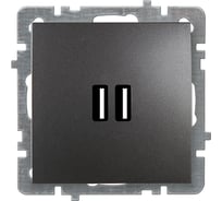 Механизм розетки NILSON USB 1СП антрацит Touran/Alegra metallic 24160481