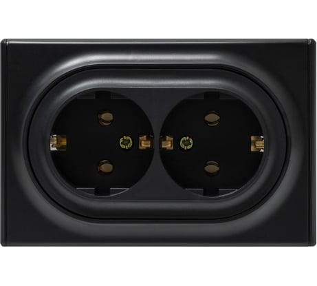 Двойная розетка OneKeyElectro, с заземлением, винтовые контакты, цвет чёрный 1E10401303 2172813