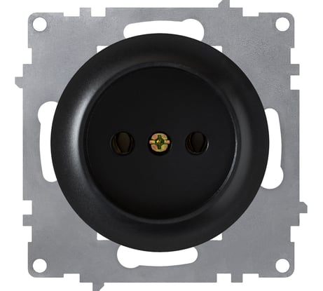 Розетка без заземления OneKeyElectro винтовые контакты, цвет чёрный 1E10301303 2172812