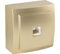 Розетка NILSON 1ОП комп золото Themis metallic 26151044