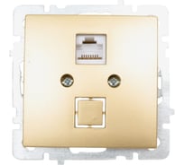 Механизм розетки NILSON 1СП комп золото Touran/Alegra metallic 24150444