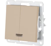 Выключатель LK Studio 2-клавишный, с индикаторами (схема 5L) 16 A, 250 B (шампань) LK80 841206-1
