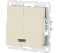 Выключатель LK Studio 2-клавишный с индикатором (сх.5L) 16 A. 250 B (беж. матовый) LK80 841202-1