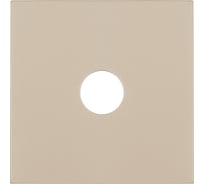 Накладка розетки LK Studio TV (шампань) LK80 845106-1