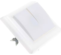 Двухклавишный выключатель APEYRON, полистирол, УХЛ4, 250В, 6А, IP20 С56-105