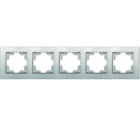 Рамка фактурная пятиместная универсальная UNIVersal серия "Афина" серебро (еврослот) A11042-S