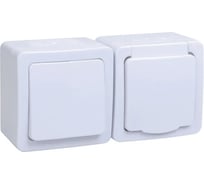 Блок 1 клавишный выключатель + 1-местная розетка IEK ГЕРМЕС PLUS БГб-22-31-ГПБб с заземляющим контактом, открытой установки, IP54, белый EBGMP20-K01-31-54-EC
