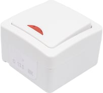 Одноклавишный выключатель IEK ВС20-1-1-ГПБ, с индикацией, для открытой установки, IP54, цвет клавиш белый, ГЕРМЕС PLUS EVMP11-K01-10-54-EC