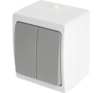 Выключатель 2-клавишный STEKKER 250В, 10А, IP54, серия Велена, белый/серый 49733