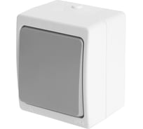 Выключатель 1-клавишный STEKKER 250В, 10А,IP54, серия Велена, белый/серы 49731