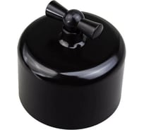 2-клавишный выключатель Electraline R, пластик, черный R1-212-23